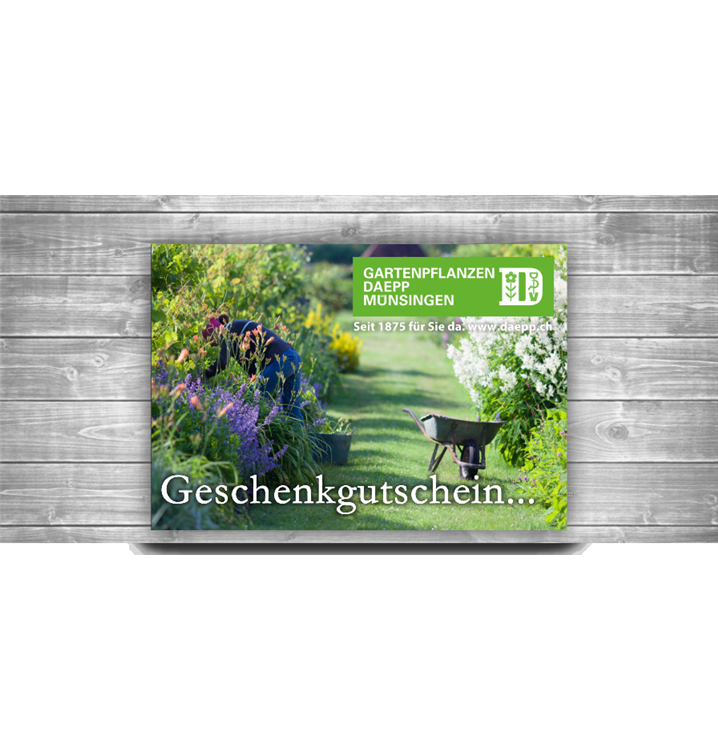 Gutschein Online, Der Gutschein kann nach Bezahlung direkt ausgedruckt