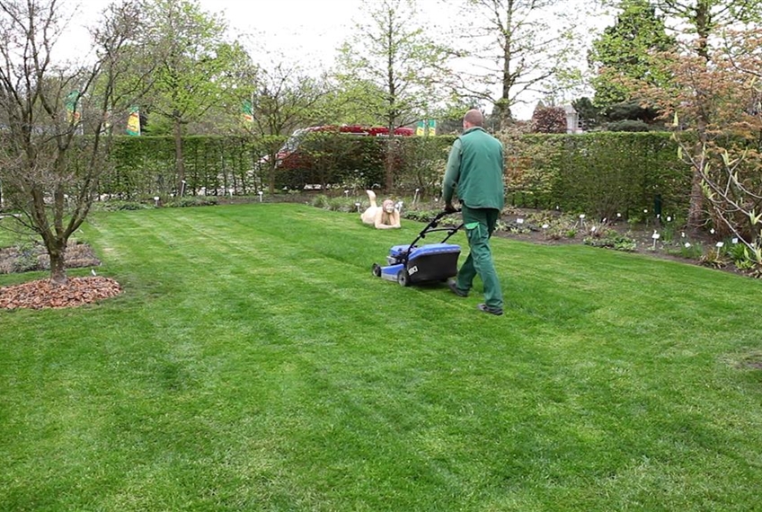 Der letzte Rasenschnitt Der letzte Rasenschnitt