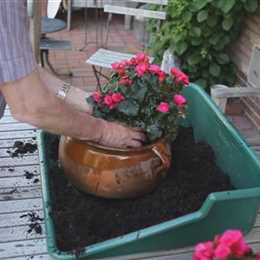 Blumenkübel - Bepflanzen mit mehreren Sommerblumen