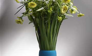 Blüten geben den Ton an