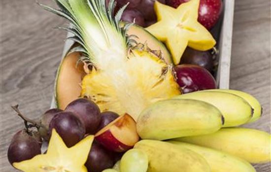 Bäumchen, schüttel dich! Bäumchen, schüttel dich!