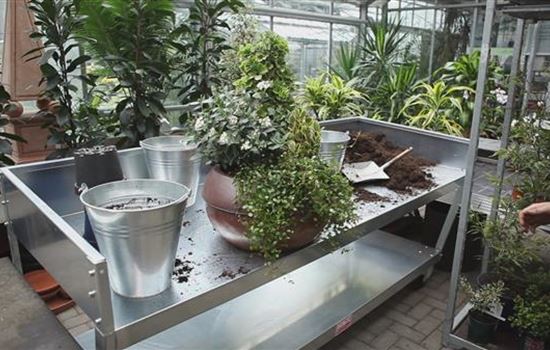 Blumenkübel - Dauerhafte Bepflanzung Blumenkübel - Dauerhafte Bepflanzung