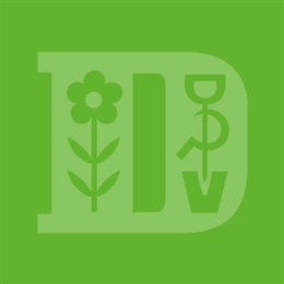 Effektiver Schutz vor Wühlmäusen Effektiver Schutz vor Wühlmäusen