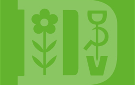 Die Auswahl von Trauerblumen und Grabbepflanzung Die Auswahl von Trauerblumen und Grabbepflanzung