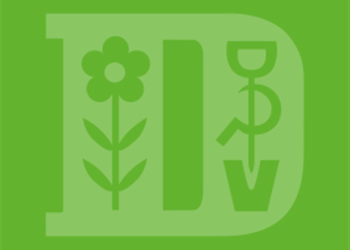 Brombeeren pflanzen Brombeeren pflanzen