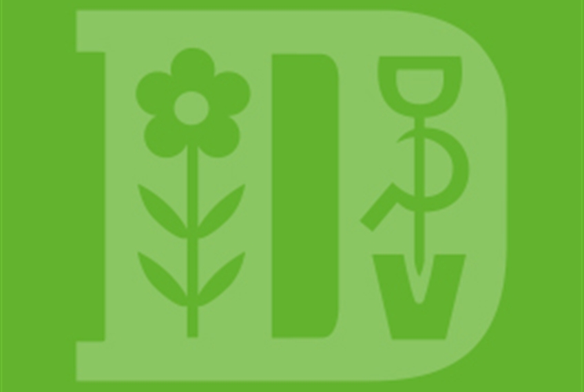 Auch im Winter frische Vitamine Auch im Winter frische Vitamine