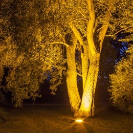 Weihnachts-Lichter-Gärten