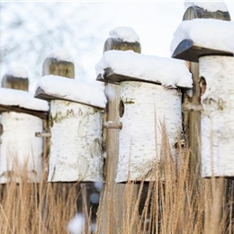 Vogelhäuser und -bäder