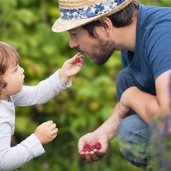 Nasch-Hecke Nasch-Hecke