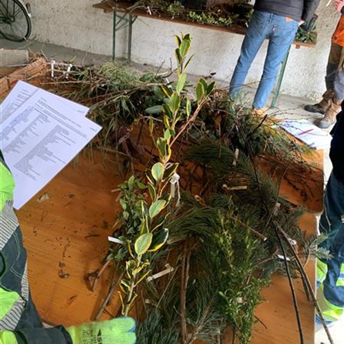 Pflanzenparcours für Lernende