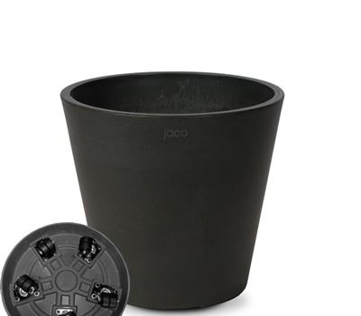 Jaco green Porto mit Rollen