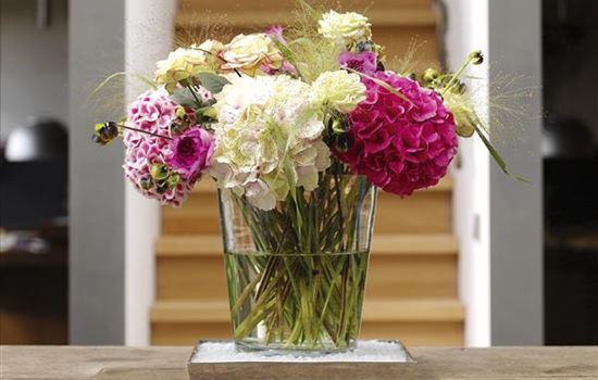 Tipps für ein langes Vasenleben Tipps für ein langes Vasenleben