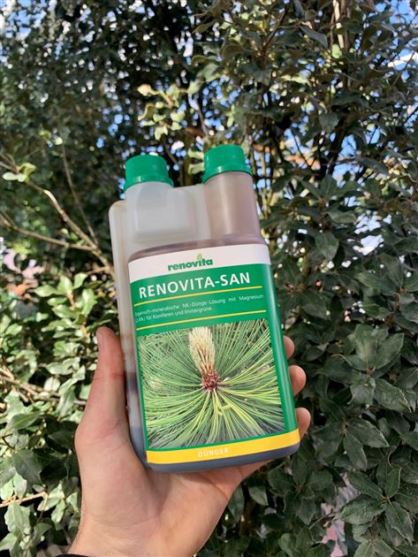 Renovita San, Flssigdnger fr alle immergrnen Pflanzen - Gartenpflanzen  Daepp
