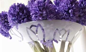 Die Top 8 der Frühlingsblumen