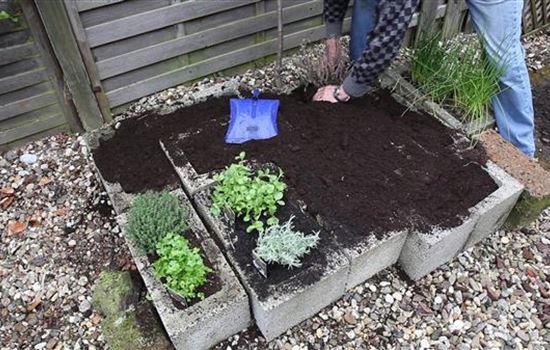 Kräuter - Einsetzen in Pflanzsteine Kräuter - Einsetzen in Pflanzsteine