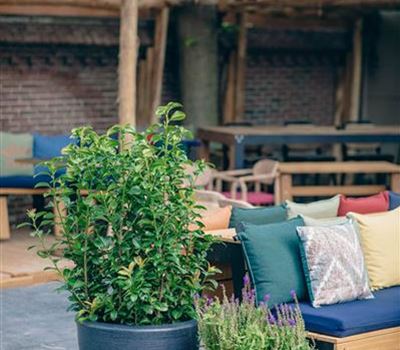 Capi Arc Planter