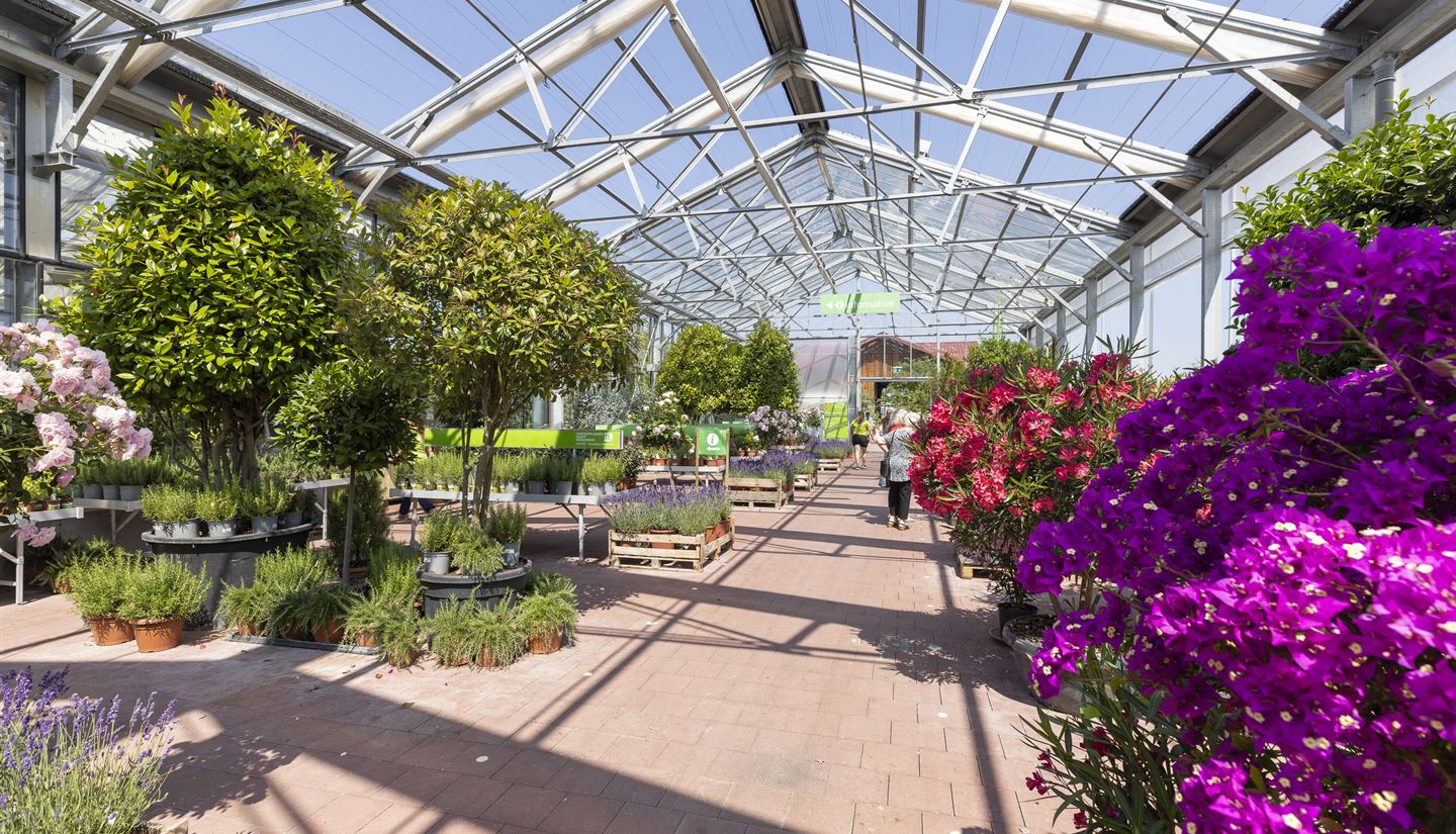 Gartencenter Osnabruck Sonntags Geoffnet