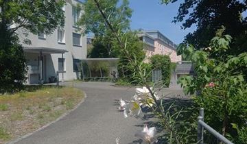 Bildvorschau