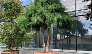 Zum Vergrößern klicken Bildvorschau