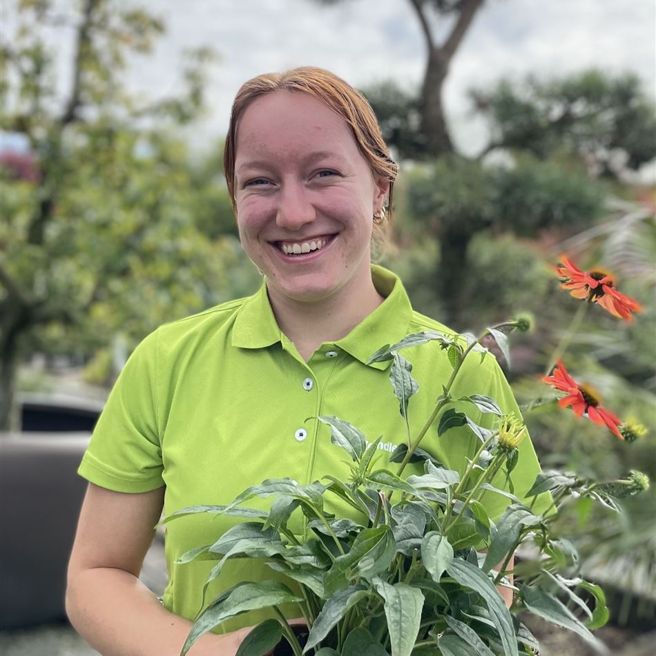 Julie Zeindler Julie Zeindler