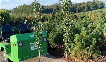 Zum Vergrößern klicken Bildvorschau