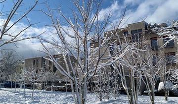 Zum Vergrößern klicken Bildvorschau