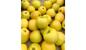 Gartenpflanzen Daepp Gartenpflanzen Daepp