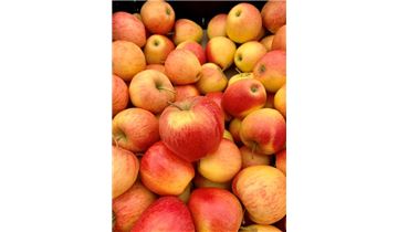 Gartenpflanzen Daepp Gartenpflanzen Daepp