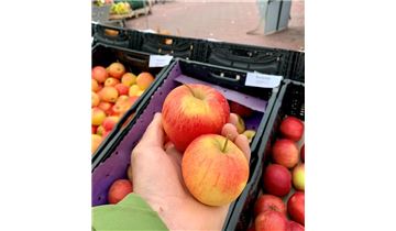 Gartenpflanzen Daepp Gartenpflanzen Daepp