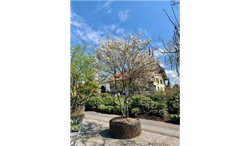 Gartenpflanzen Daepp Gartenpflanzen Daepp