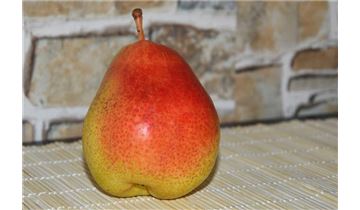 Gartenpflanzen Daepp