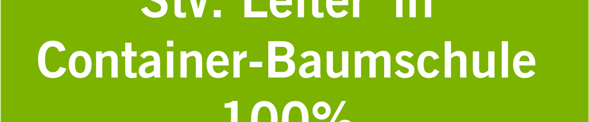 Stv Container-294-37-1566-1331.png