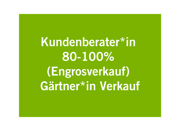 Kundenberater*in 80-100% Engrosverkauf 