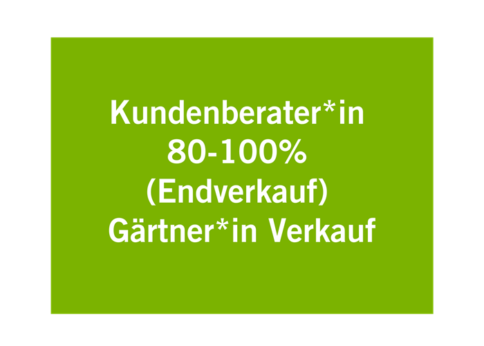 Kundenberater*in 80-100% Endverkauf
