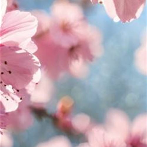 Frühlingserwachen in der Erlebnis-Baumschule!