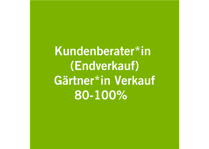 Kundenberater*in 80-100% Endverkauf