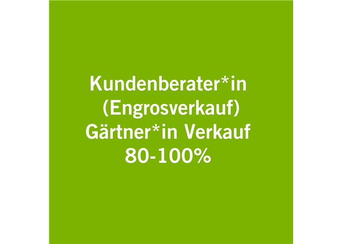 Kundenberater*in 80-100% Engrosverkauf 