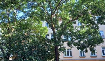 Bildvorschau
