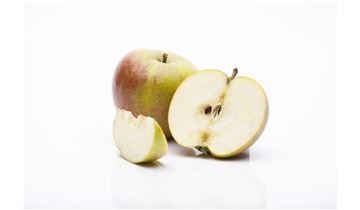 Gartenpflanzen Daepp Gartenpflanzen Daepp