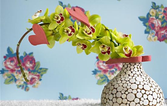 Die Top 8 der Winterblumen Die Top 8 der Winterblumen