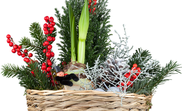 Der weihnachtliche Garten