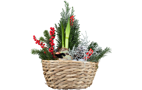 Der weihnachtliche Garten Der weihnachtliche Garten