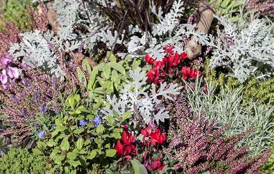 Die Grabpflege im November Die Grabpflege im November