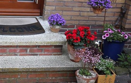 Kübelpflanzen windsicher machen Kübelpflanzen windsicher machen