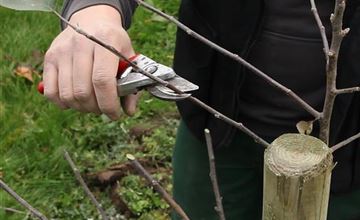 Oktober – Jetzt gibt es noch mal viel zu tun!